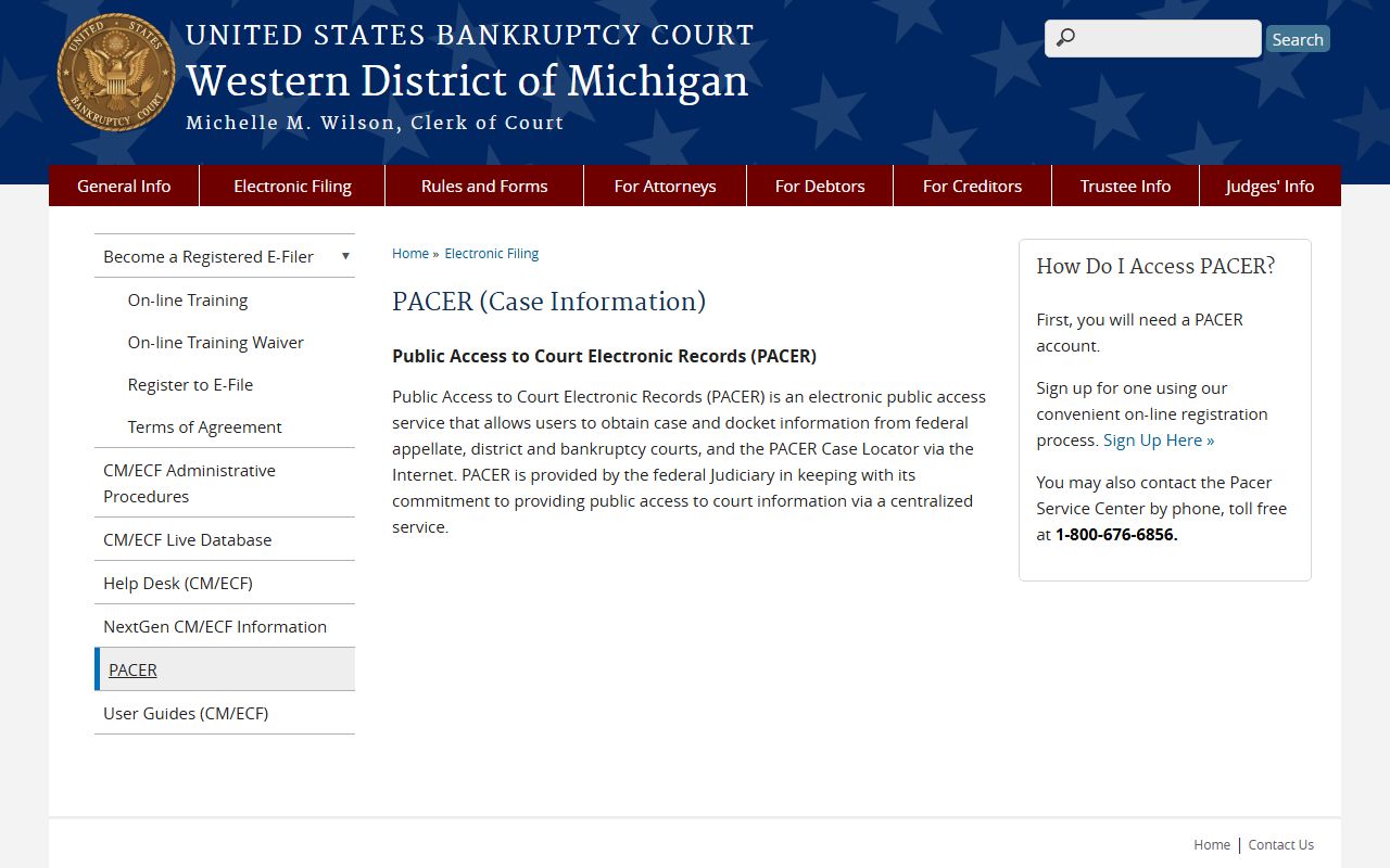 Ontonagon County federal and bankruptcy court dockets through PACER case information